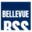 selfstoragebellevuepa.com