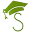 s