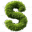 s