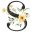 s