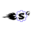 s