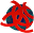 i