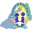 s