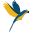 s
