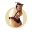 i