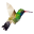 i