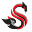 s