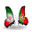 i