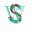 s