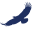 sedatasolutions.io