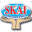 skaifoundation.org