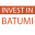 investinbatumi.ge