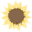 sunflowersandthorns.com