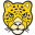 sjajaguars.org