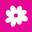 sistastrut.org