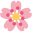 sashatran.com