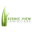 scenicviewlawncare.com