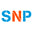 snpsecurite.com