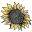 simplegardening.us
