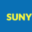 sunyreel.com