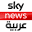 skynewsarabia.com