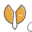 startupback.com