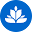 Saleshub favicon