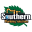 southernplumbingsolutions.com