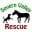 severnvalleyrescue.org