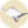 29q.ryukyu