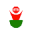 i