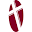 icslions.org