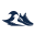 shoeeffect.com
