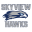 skyviewathletics.com