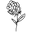 shopcianducrot.com
