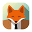 sundayfox.fr