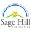 sage-hill-consulting.com