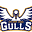 sylvanlakegulls.com