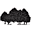 shadypinesrv.com