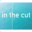 inthecutpro.com