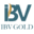 ibvgold.co.za