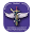 iamfsp.org
