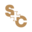 saintsandcouncil.com