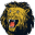 shelbygoldenlions.com