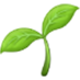 Beanstalk Growth Marketing